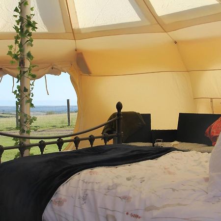 Tal-Y-Fan Farm 6M Stargazer Tent ブリジェンド エクステリア 写真