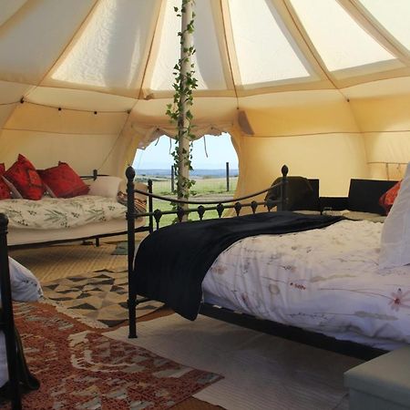 Tal-Y-Fan Farm 6M Stargazer Tent ブリジェンド エクステリア 写真